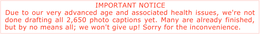 alert
