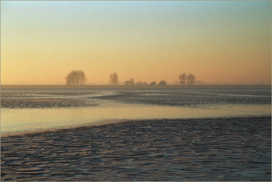 Bomen langs de Oosterkoog bij Schardam vanaf het bevroren IJsselmeer, bij zonsondergang