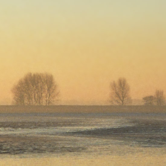 Zoom: Bomen langs de Oosterkoog bij Schardam vanaf het bevroren IJsselmeer, bij zonsondergang