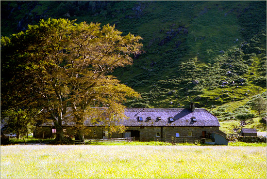 Barrisdale estate farm at Kinloch Hourn in the summer afternoon sun