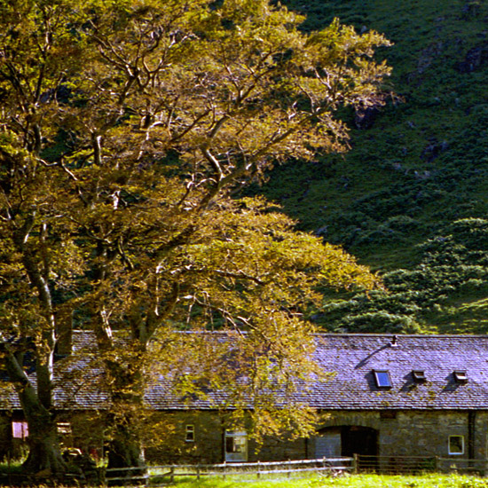 Zoom: Barrisdale estate farm at Kinloch Hourn in the summer afternoon sun