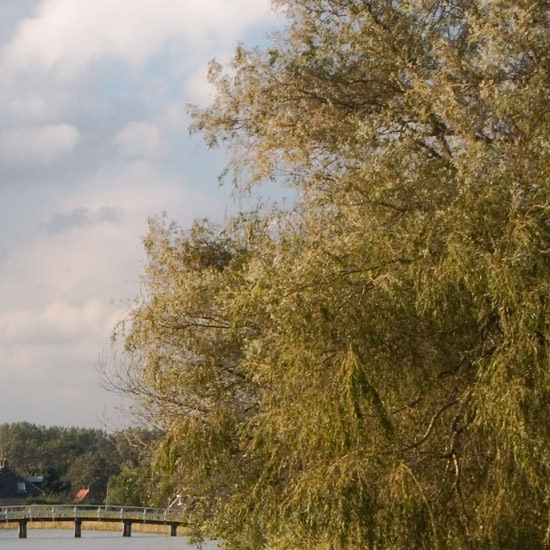 Zoom: De Ringsloot in Oudendijk vanaf de dijk tegenover de kerk, op een zonnige middag in oktober