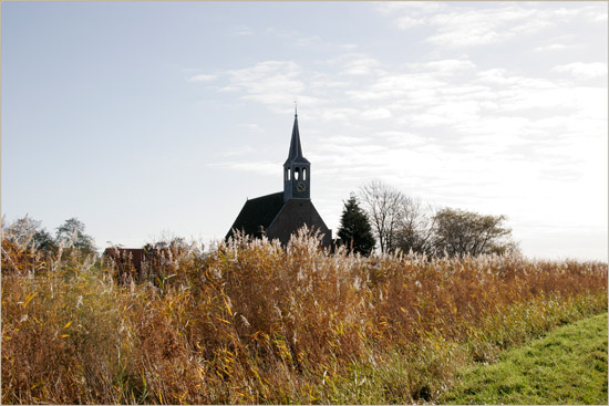Riet in het licht van de ochtendzon in november, met Oudendijks kerkje erachter in tegenlicht