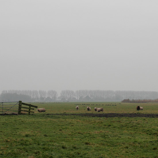 Zoom: De Beetskoog in de decembernevel, vanaf het land van Worp achter het oude gemaal