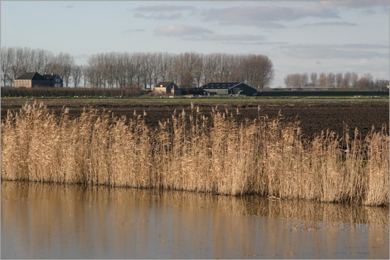 Een vluusje ijs op de Waterling in de Beschoot; verder weg de Slimdijk en rechts de Beemsterbrug