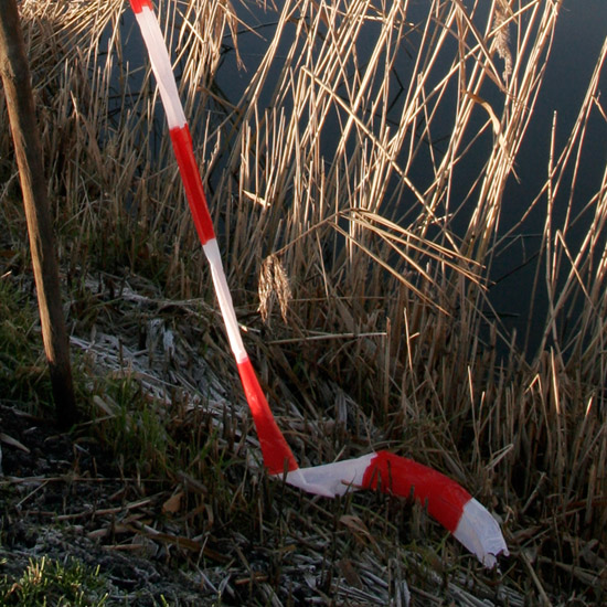 Zoom: Rood en wit op de berijpte oever van de Waterling in de Beschoot