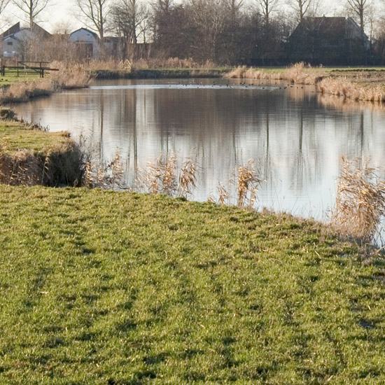 Het begin van de Beschoter Waterling achter de Slimdijk op een zonnige winterdag