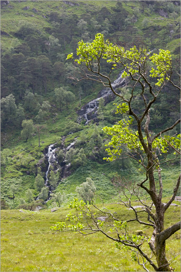 Waterfall cascading down from Sgurr a' Choire-bheithe, viewed from the path through Glen Barisdale