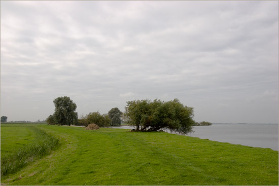 Wilgen langs de Oosterkoog aan het IJsselmeer tegenover Etersheim; in de verte Hoorn en West-Friesland