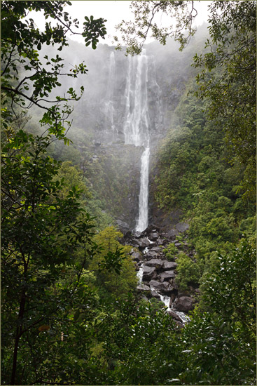 Wairere Falls hanging like a curtain from the rocks